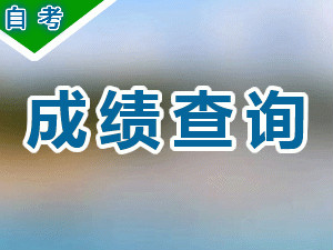 江苏省教育考试院2016年自考成绩查询系统入