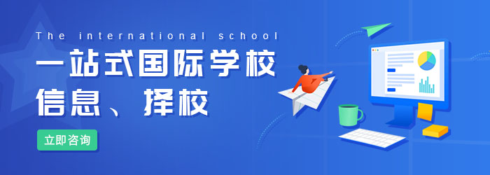深圳国际学校分类