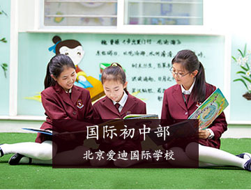 北京爱迪国际学校亮相文博会