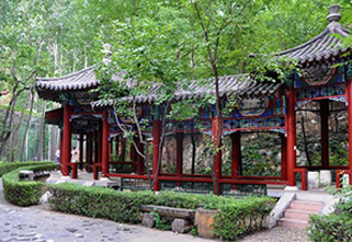 北京六力国际学校_北京市国际学校哪家好_北