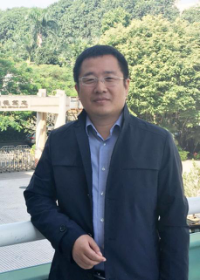 深圳国际学校,深圳国际高中,深圳国际学校排名