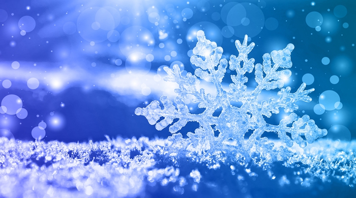 贵州2018年10月自考成绩查询时间及入口